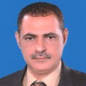 Photo of Youssef M. Abu Amuna