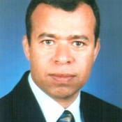 Photo of Mohamed Elsayed