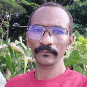 Photo of Eltaher Ali