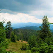 Photo of Mateusz Penczek