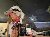 Photo of Will Schoeninger