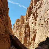 Photo of Sean Powell