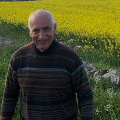 Photo of Paul Gomberg