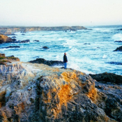 Photo of David Slutsky