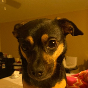 Photo of Jordan Ramirez