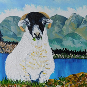 Photo of Yarrow Eady