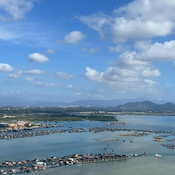 Photo of Yi Zhao